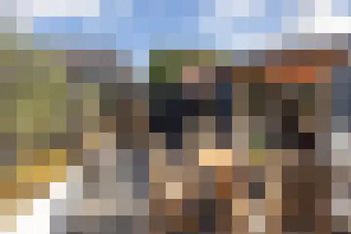 De Klamp 10 Elst Ut thumbnail 29