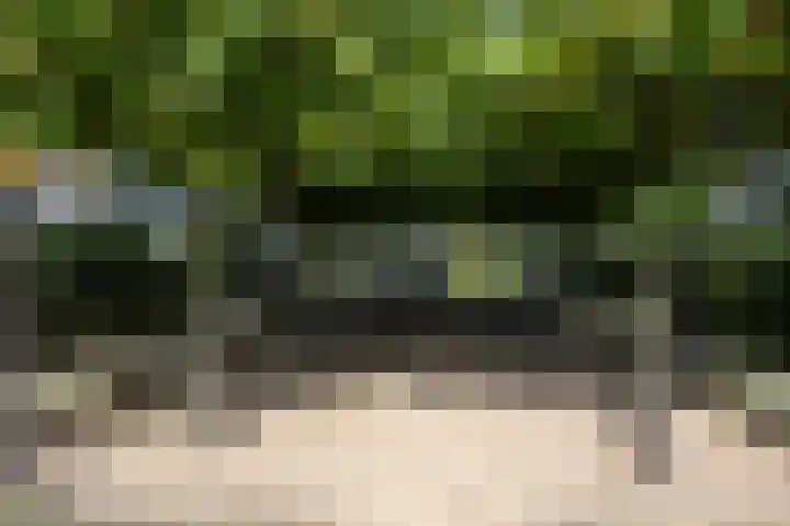 De Klamp 10 Elst Ut thumbnail 33