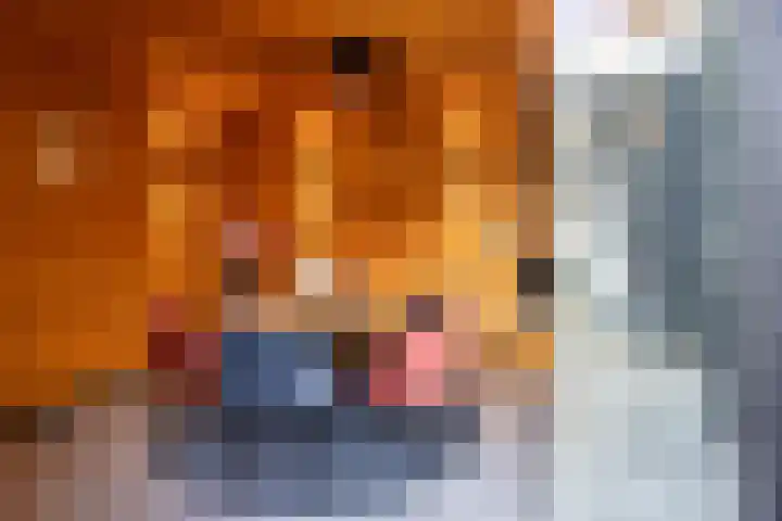 De Klamp 10 Elst Ut thumbnail 4
