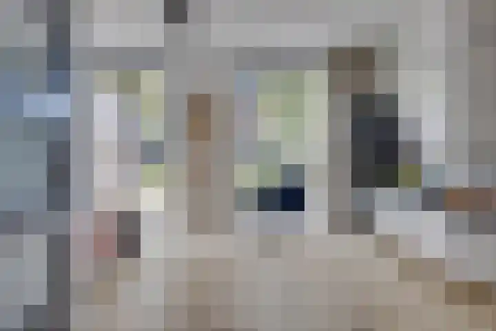 De Klamp 10 Elst Ut thumbnail 6