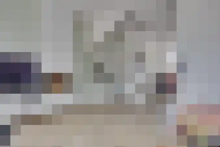 De Klamp 10 Elst Ut thumbnail 9