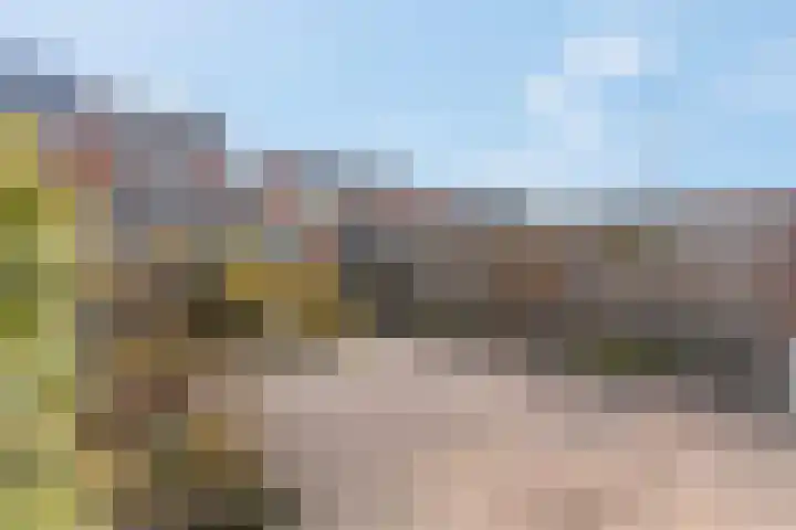 de Klamp 12 Amerongen thumbnail 23
