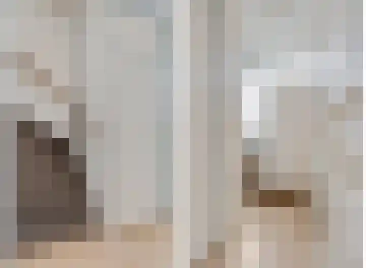 de Klamp 12 Amerongen thumbnail 9