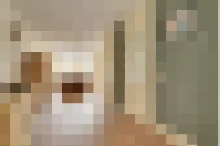 De Klamp 15 Bovenkarspel thumbnail 10
