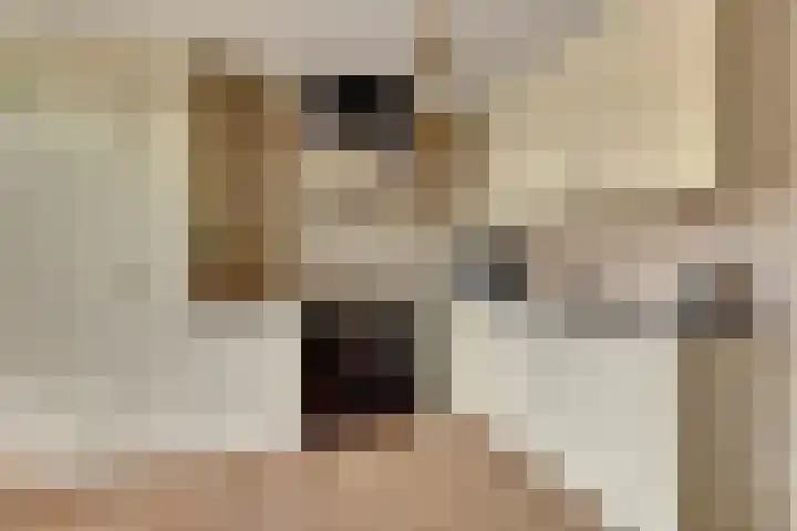 De Klamp 15 Bovenkarspel thumbnail 14