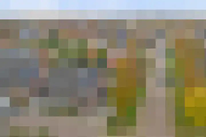 De Klamp 15 Bovenkarspel thumbnail 33