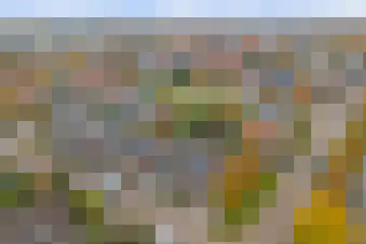 De Klamp 15 Bovenkarspel thumbnail 44