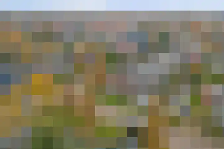 De Klamp 15 Bovenkarspel thumbnail 45