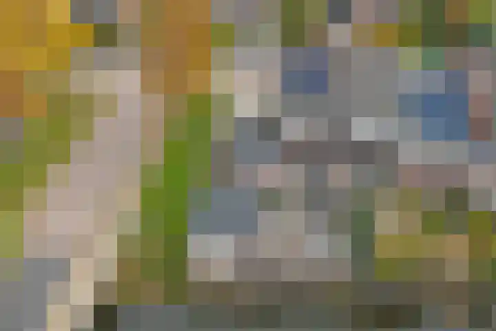 De Klamp 15 Bovenkarspel thumbnail 46