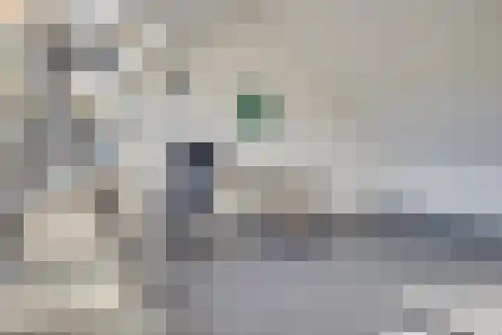 De Klamp 24 Leusden thumbnail 24