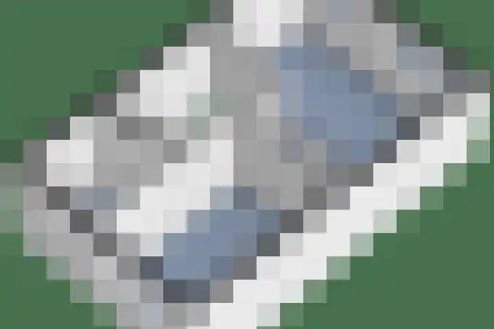 De Klamp 24 Leusden thumbnail 35