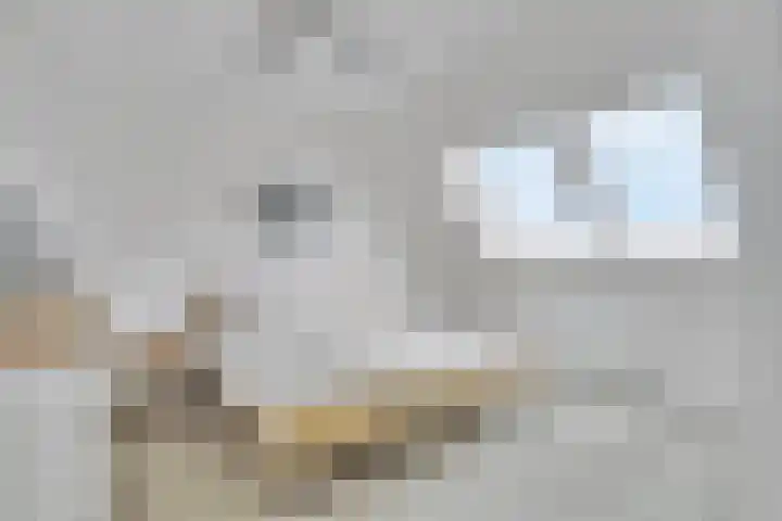 De Klamp 26 Elst Ut thumbnail 23