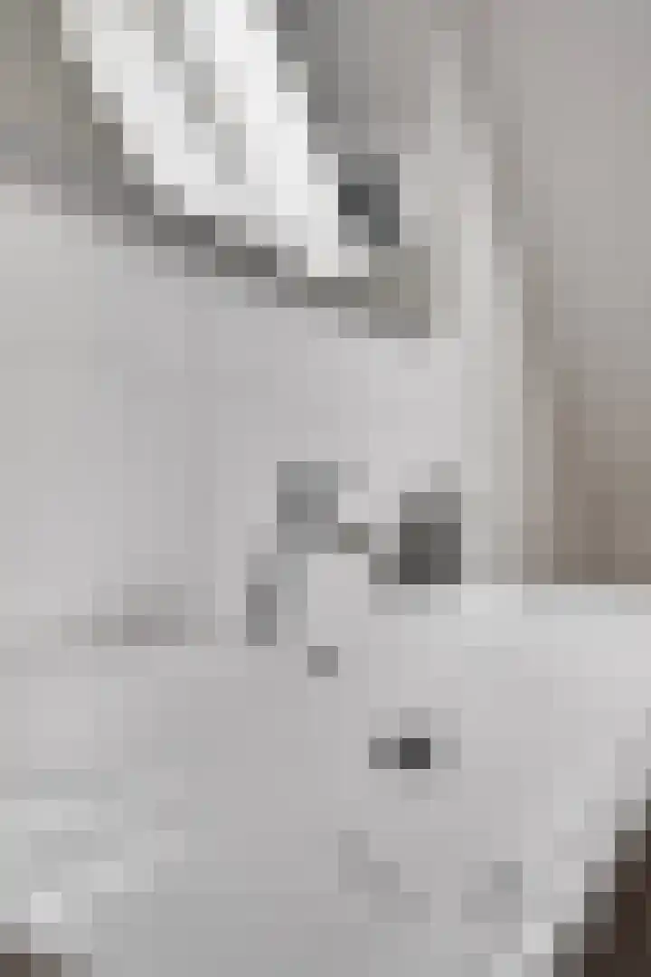 De Klamp 26 Elst Ut thumbnail 26
