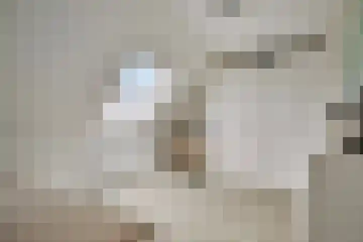 De Klamp 26 Elst Ut thumbnail 30