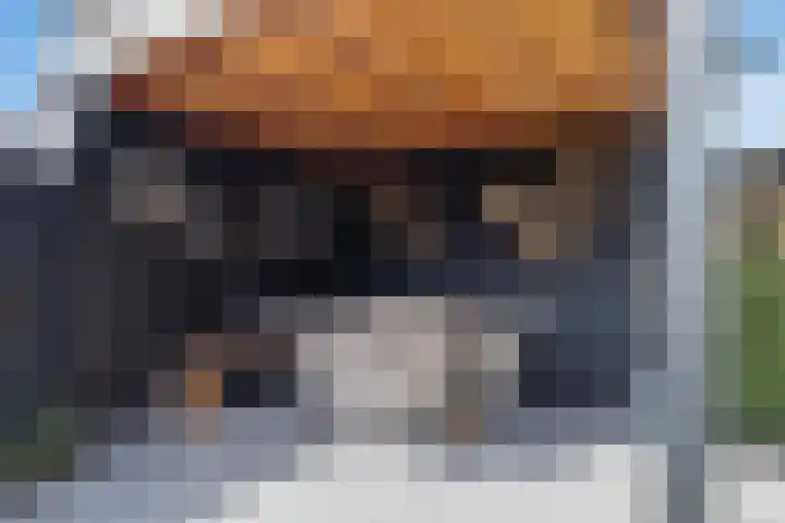 De Klamp 26 Elst Ut thumbnail 33