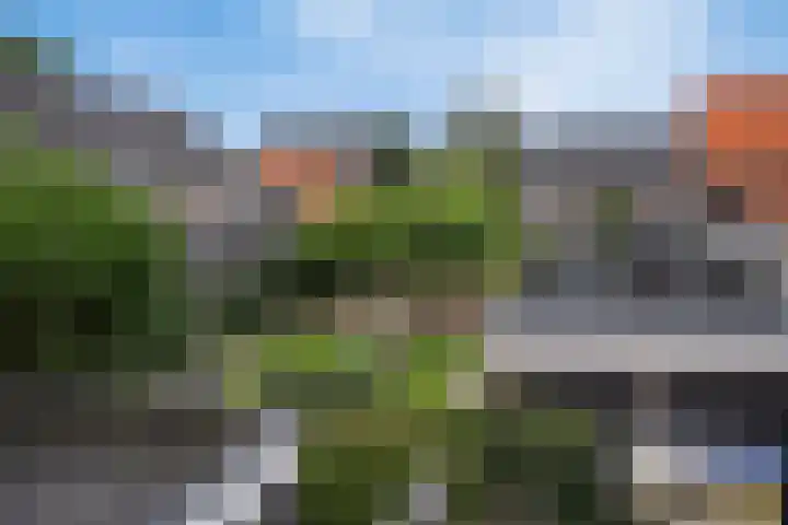 De Klamp 26 Elst Ut thumbnail 36