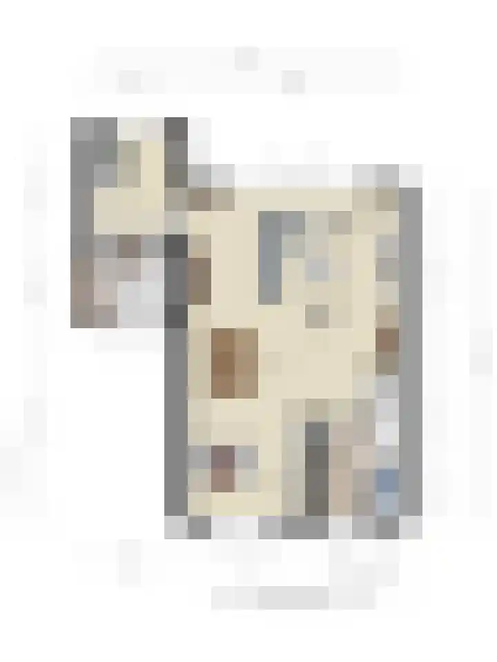 De Klamp 26 Elst Ut thumbnail 39