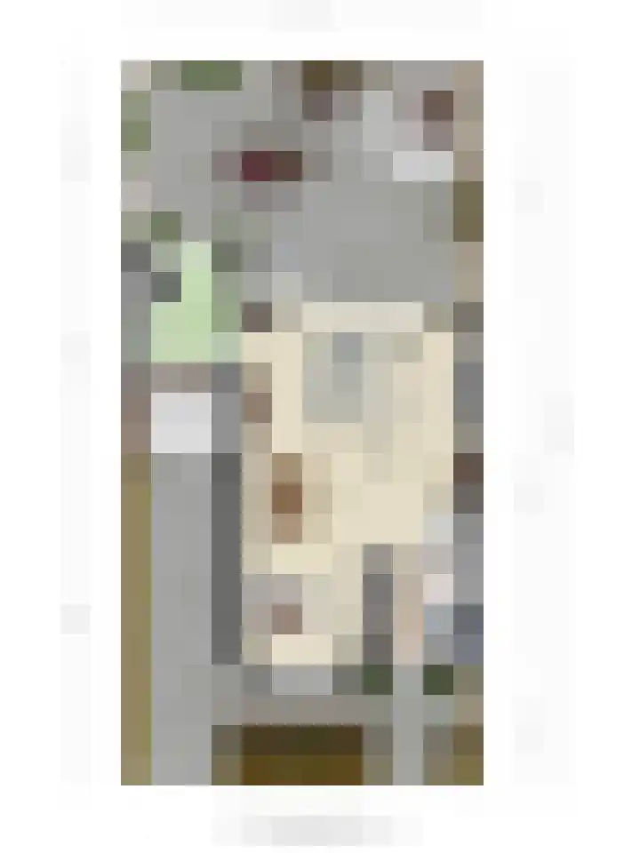 De Klamp 26 Elst Ut thumbnail 43