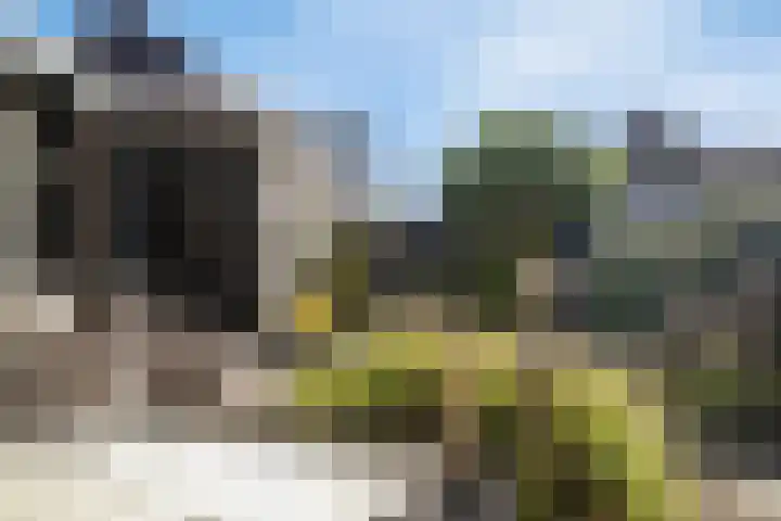 De Klamp 26 Elst Ut thumbnail 5
