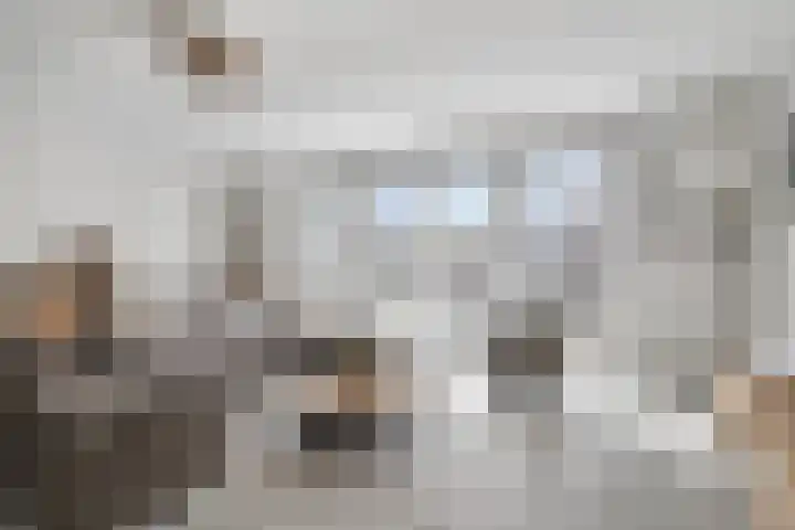 De Klamp 26 Elst Ut thumbnail 8