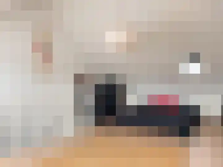 De Klamp 28 Elst Ut thumbnail 14