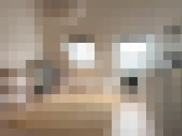 De Klamp 28 Elst Ut thumbnail 15