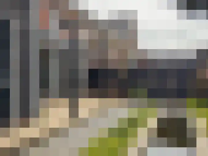 De Klamp 28 Elst Ut thumbnail 17