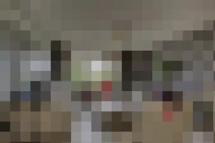 De Klamp 28 Nagele thumbnail 10