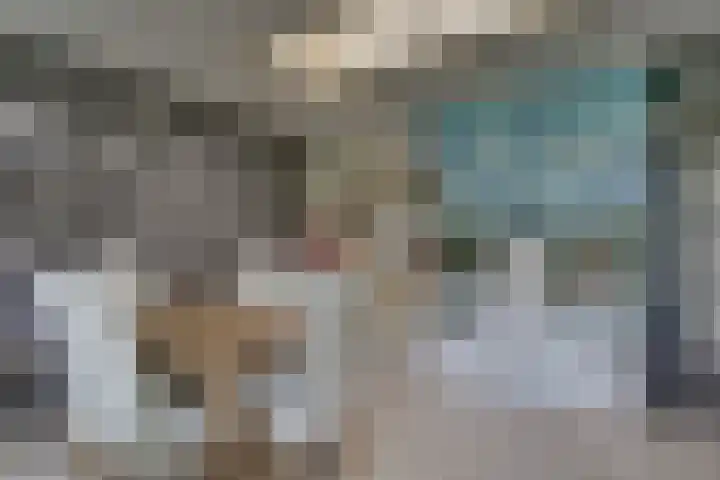 De Klamp 28 Nagele thumbnail 11