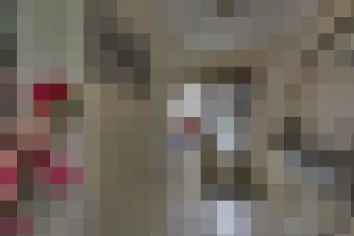 De Klamp 28 Nagele thumbnail 12