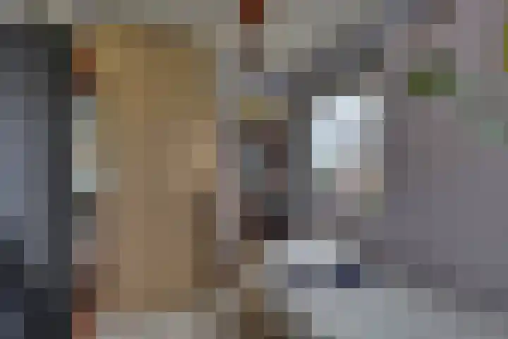 De Klamp 28 Nagele thumbnail 17