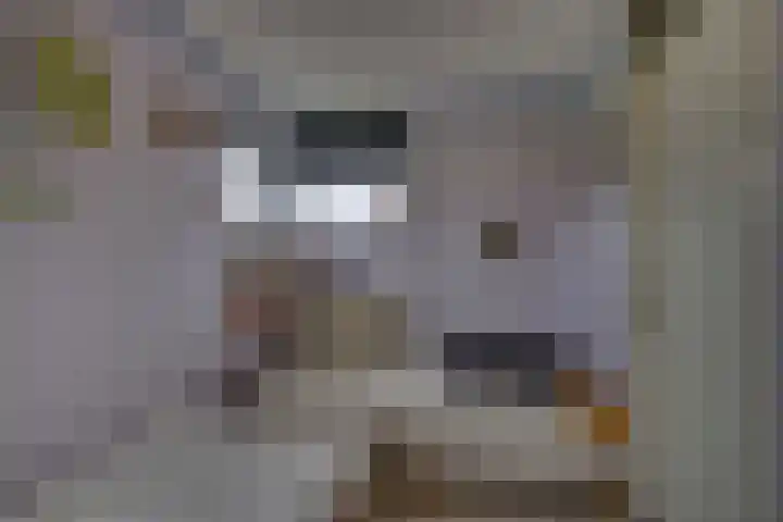 De Klamp 28 Nagele thumbnail 18