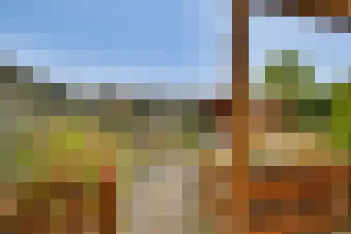De Klamp 28 Nagele thumbnail 22