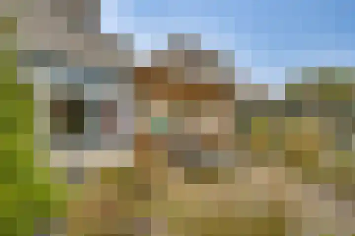 De Klamp 28 Nagele thumbnail 23
