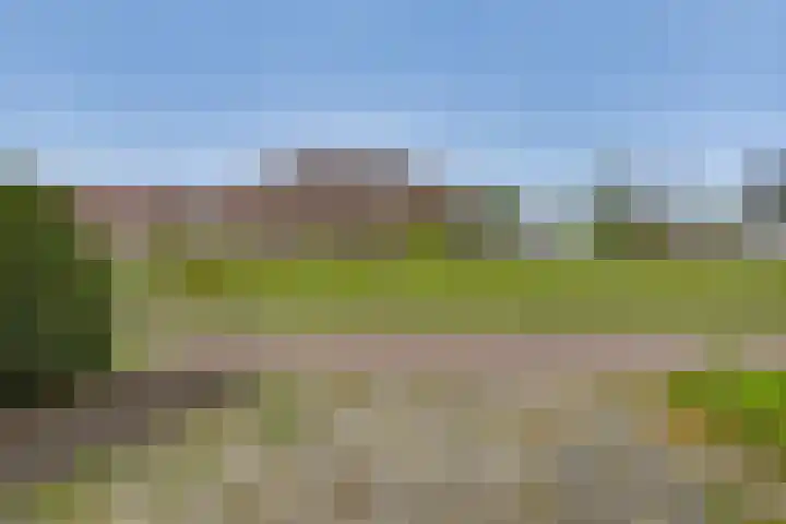De Klamp 28 Nagele thumbnail 24