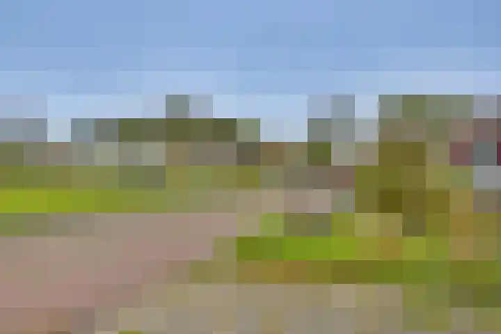 De Klamp 28 Nagele thumbnail 25