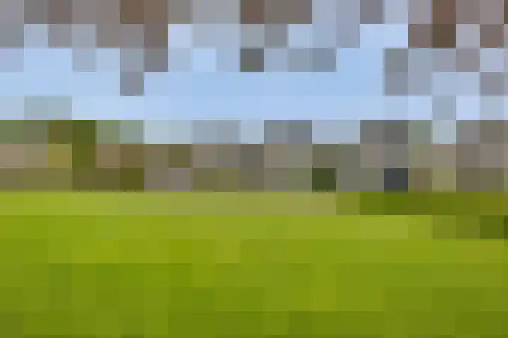 De Klamp 28 Nagele thumbnail 5