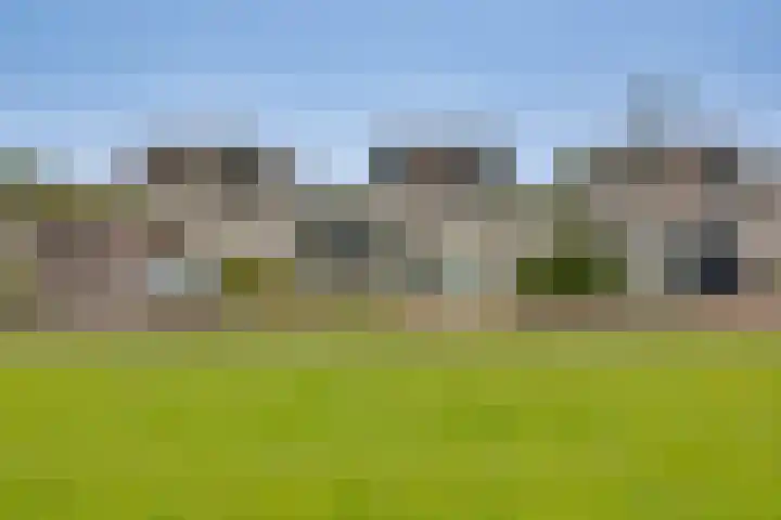 De Klamp 28 Nagele thumbnail 6