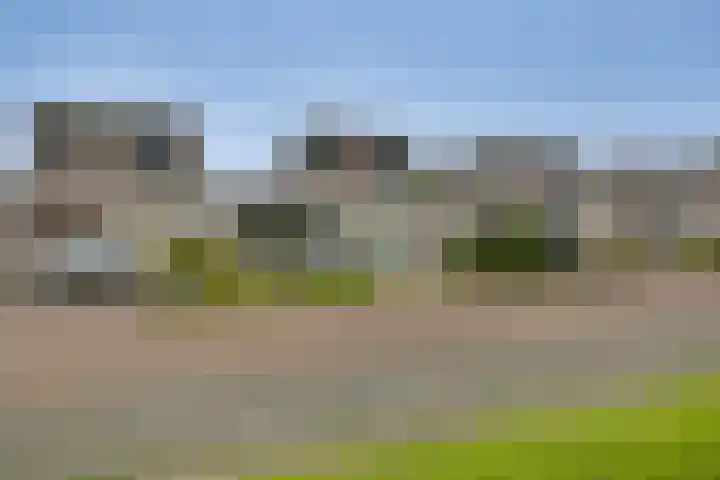De Klamp 28 Nagele thumbnail 7