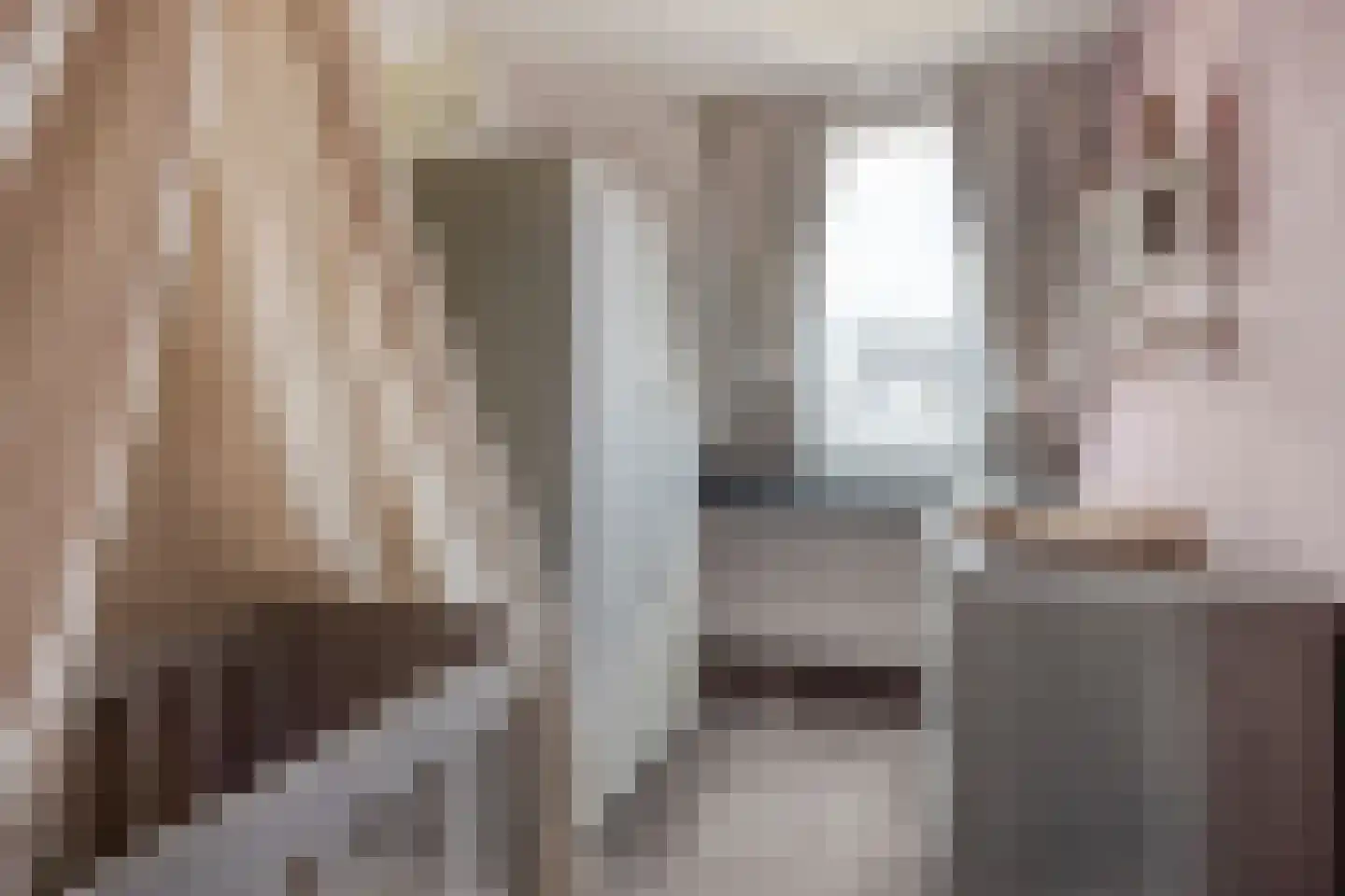 De Klamp 30 Erica thumbnail 13