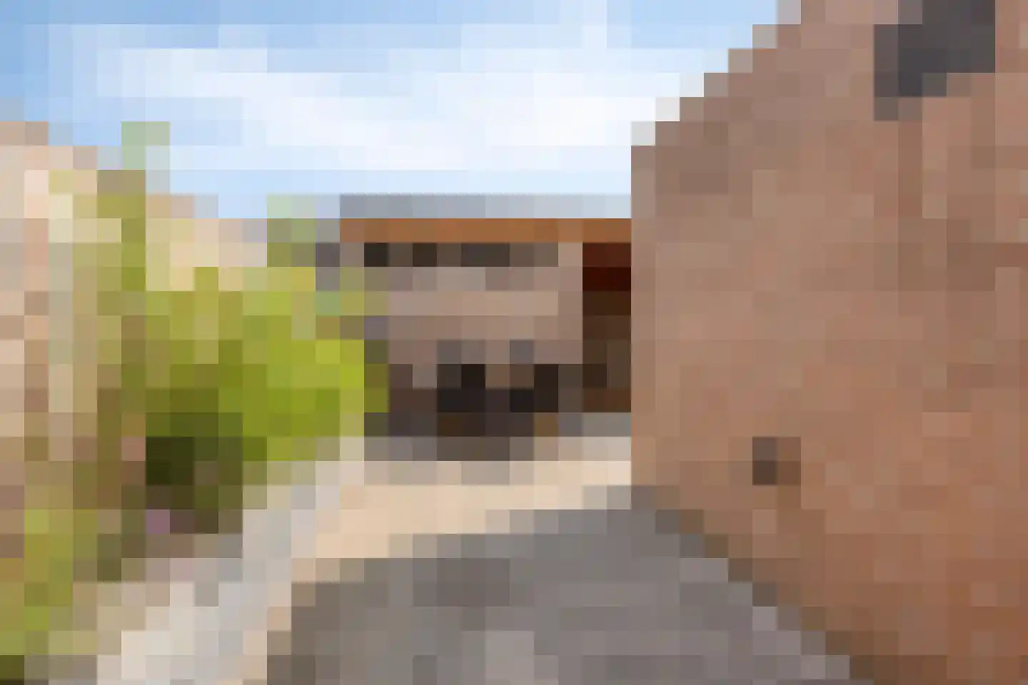 De Klamp 30 Erica thumbnail 14