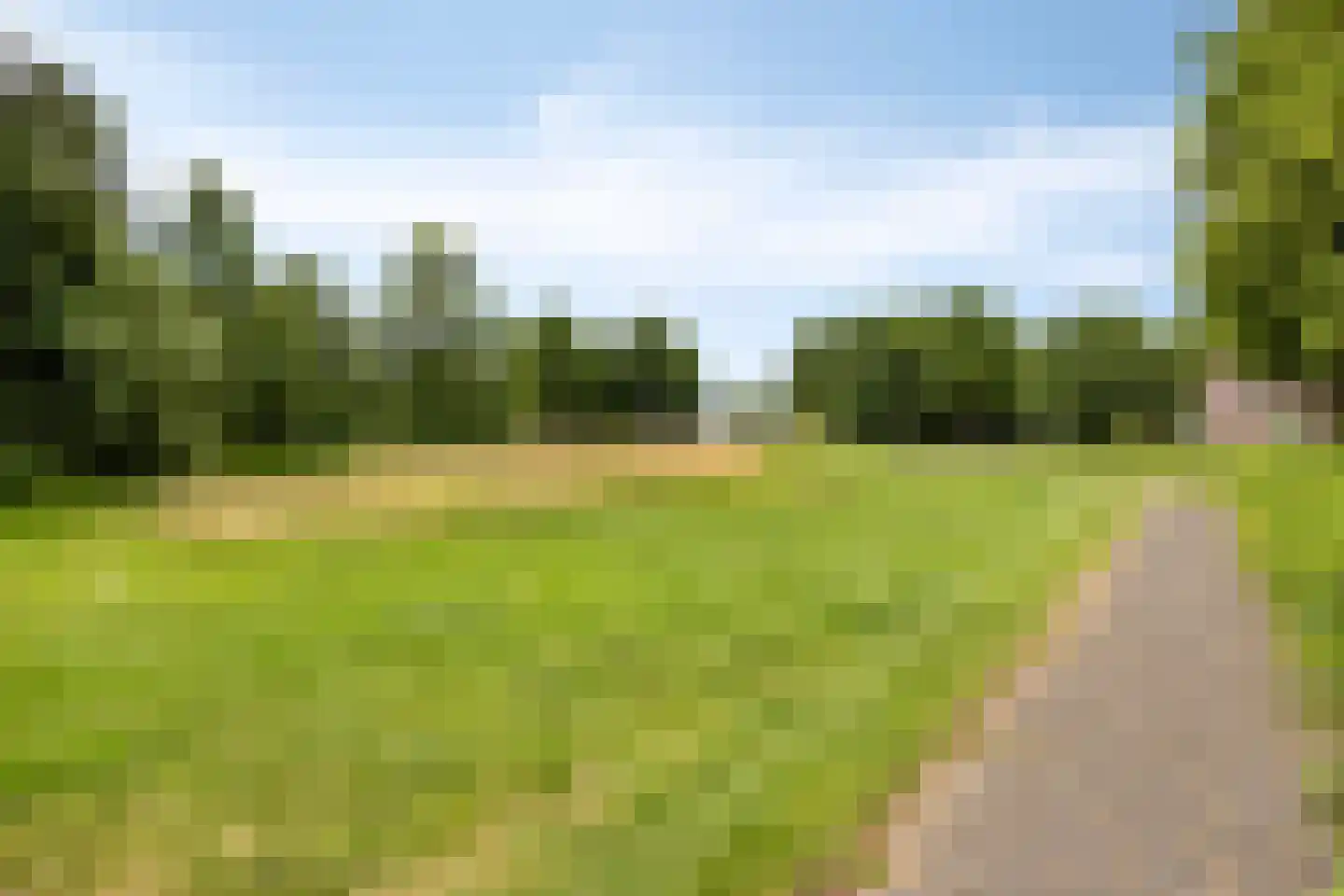 De Klamp 30 Erica thumbnail 21