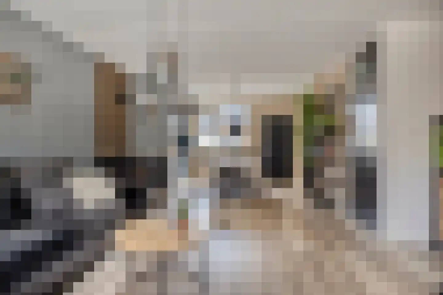 De Klamp 30 Erica thumbnail 4