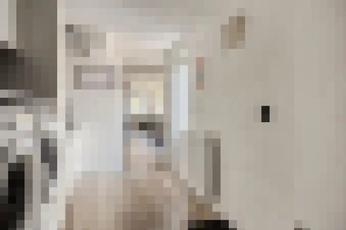 De Klamp 30 Erica thumbnail 8