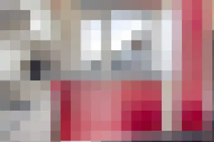 De Klamp 8 Erica thumbnail 13