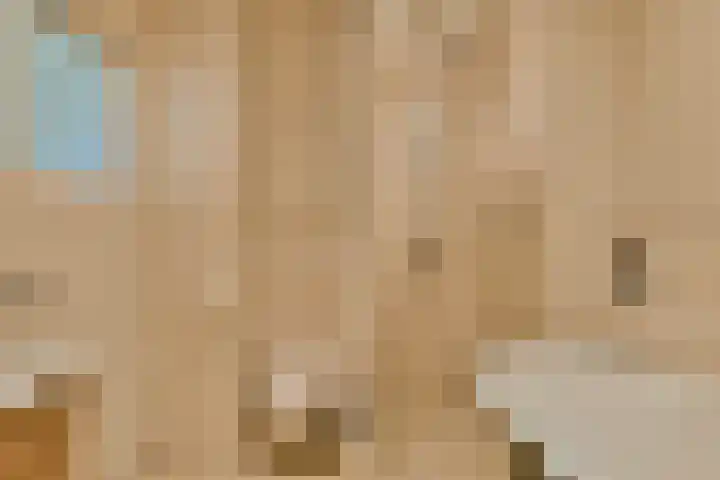 De Klamp 8 Erica thumbnail 18