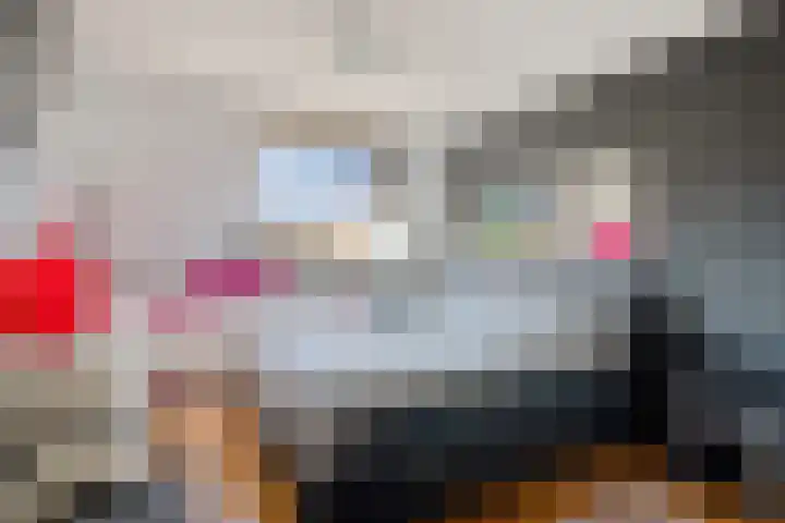De Klamp 8 Erica thumbnail 21