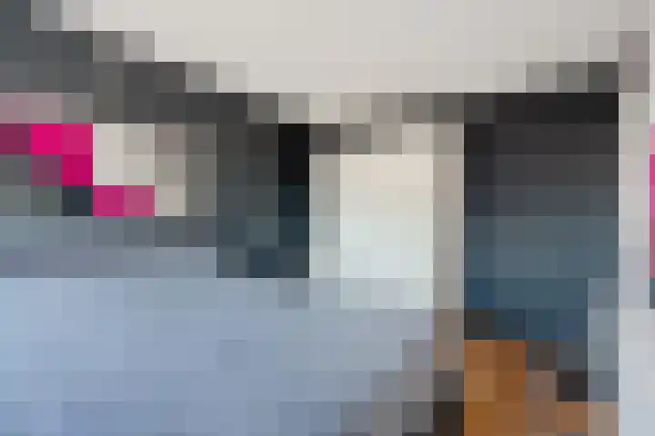 De Klamp 8 Erica thumbnail 23
