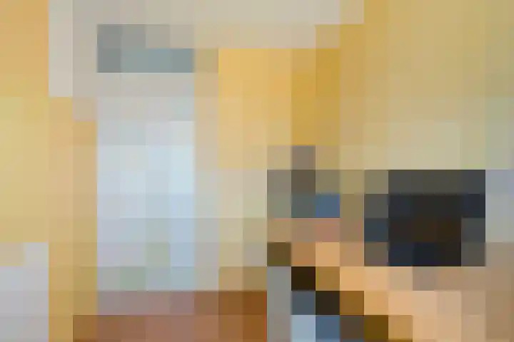 De Klamp 8 Erica thumbnail 25