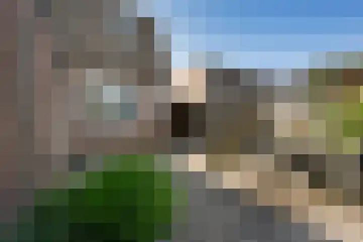De Klamp 8 Erica thumbnail 33